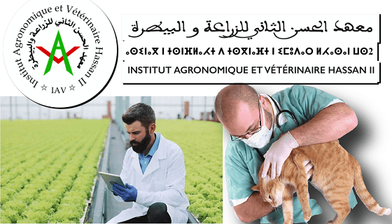 معهد الحسن الثاني للزراعة والبيطرة IAV.