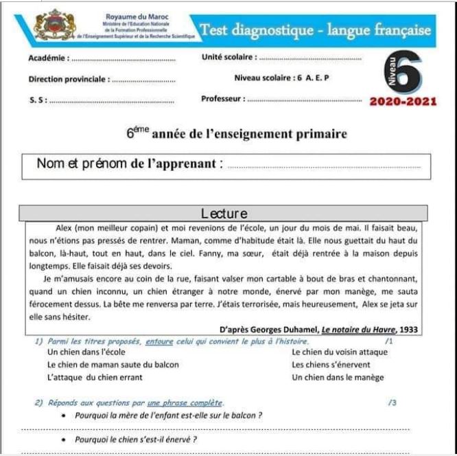 Test d'évaluation diagnostique en français niveau 6 AEP 2021