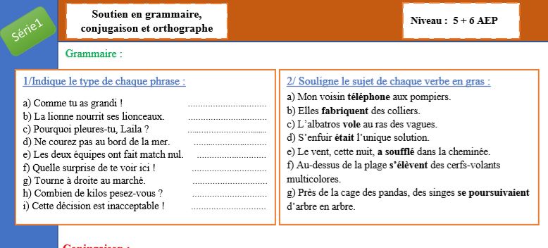 Des activités de soutien en français 456 AEP