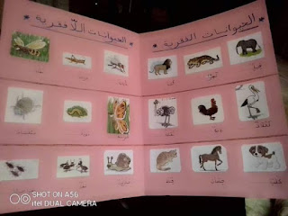 مشروع الحيوانات الفقرية اللافقرية