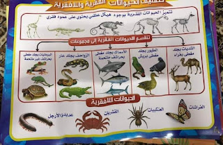 مشروع الحيوانات الفقرية اللافقرية