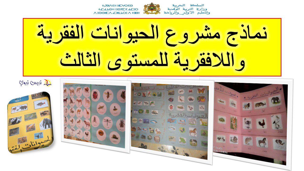 نماذج مشروع الحيوانات الفقرية اللافقرية للمستوى الثالث نماذج مشروع الحيوانات الفقرية اللافقرية للمستوى الثالث