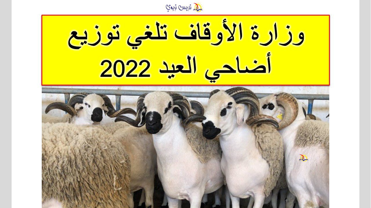 وزارة الاوقاف تلغي توزيع أضاحي العيد 2022 وزارة الاوقاف تلغي توزيع أضاحي العيد 2022
