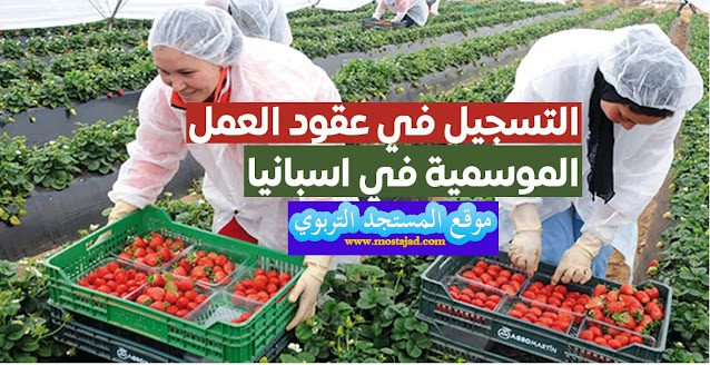 العمل في اسبانيا الفلاحة 2022 ANAPEC