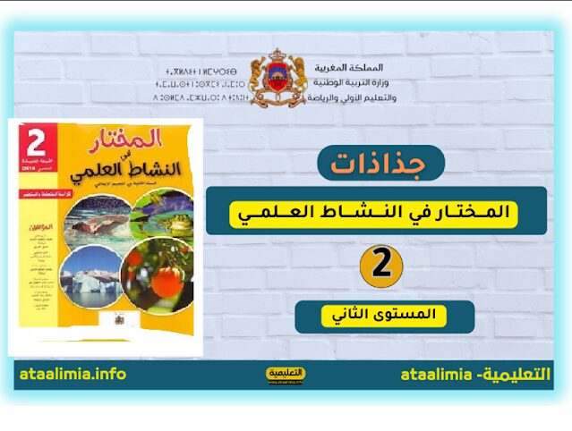 جذاذات المختار في النشاط العلمي الدورة الأولى المستوى الثاني 2023.2024 men-gov.com