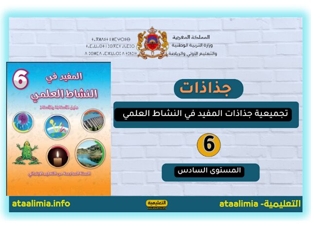 جذاذات الوحدة الأولى المفيد في النشاط العلمي المستوى السادس 2023.2024 men-gov.com